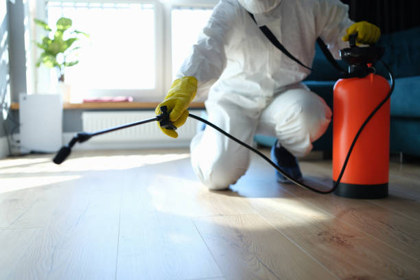 Trusted Sewage Cleanup service in Maplewood, WA - Four Month Blood Cleanse